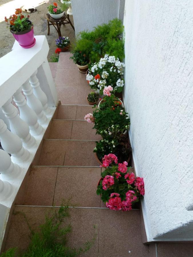 Apartman Sunce Raslina Dış mekan fotoğraf
