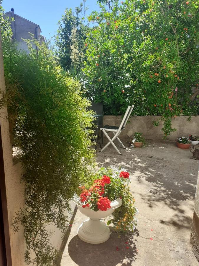 Apartman Sunce Raslina Dış mekan fotoğraf