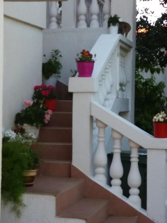 Apartman Sunce Raslina Dış mekan fotoğraf