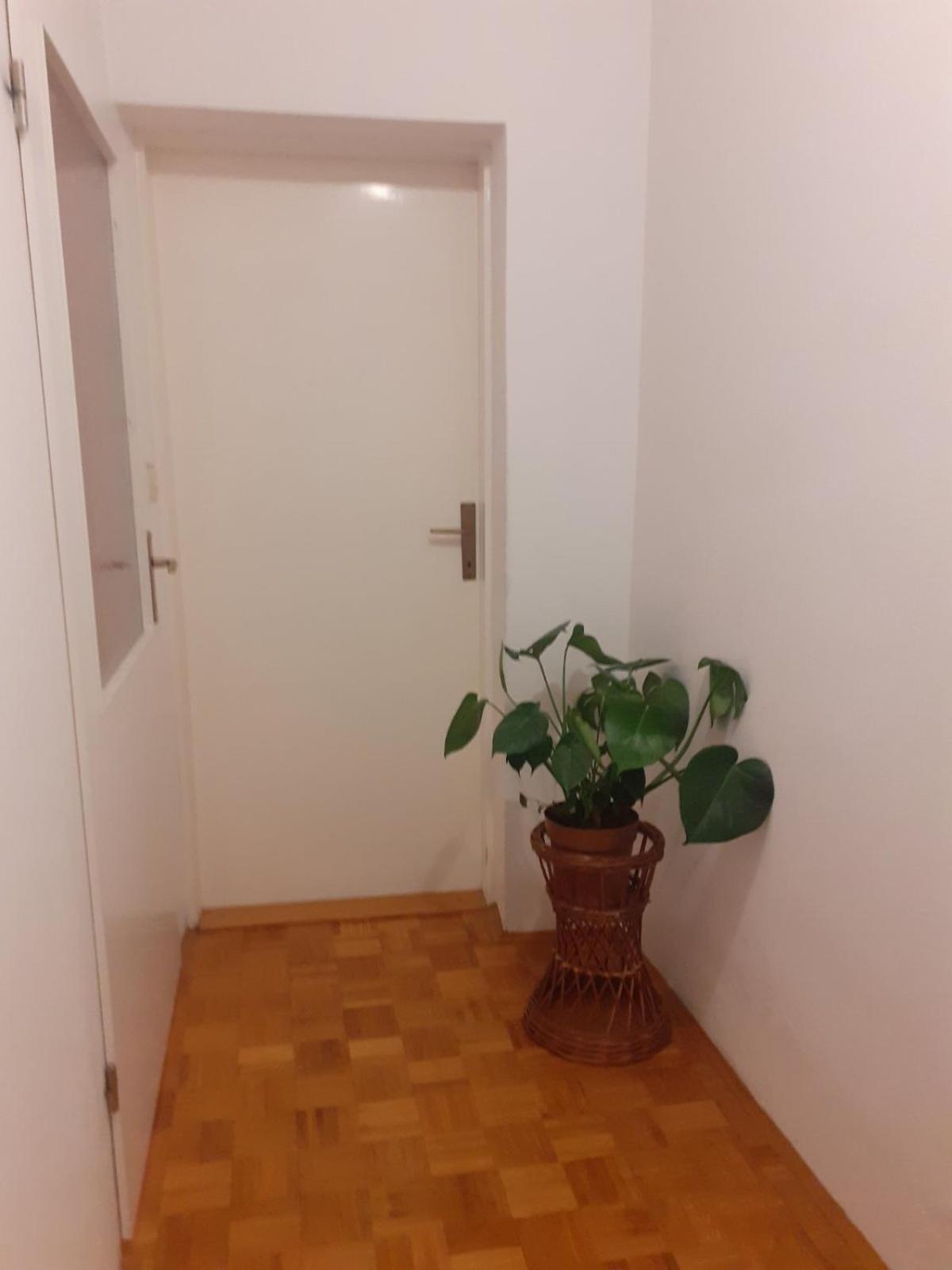 Apartman Sunce Raslina Dış mekan fotoğraf