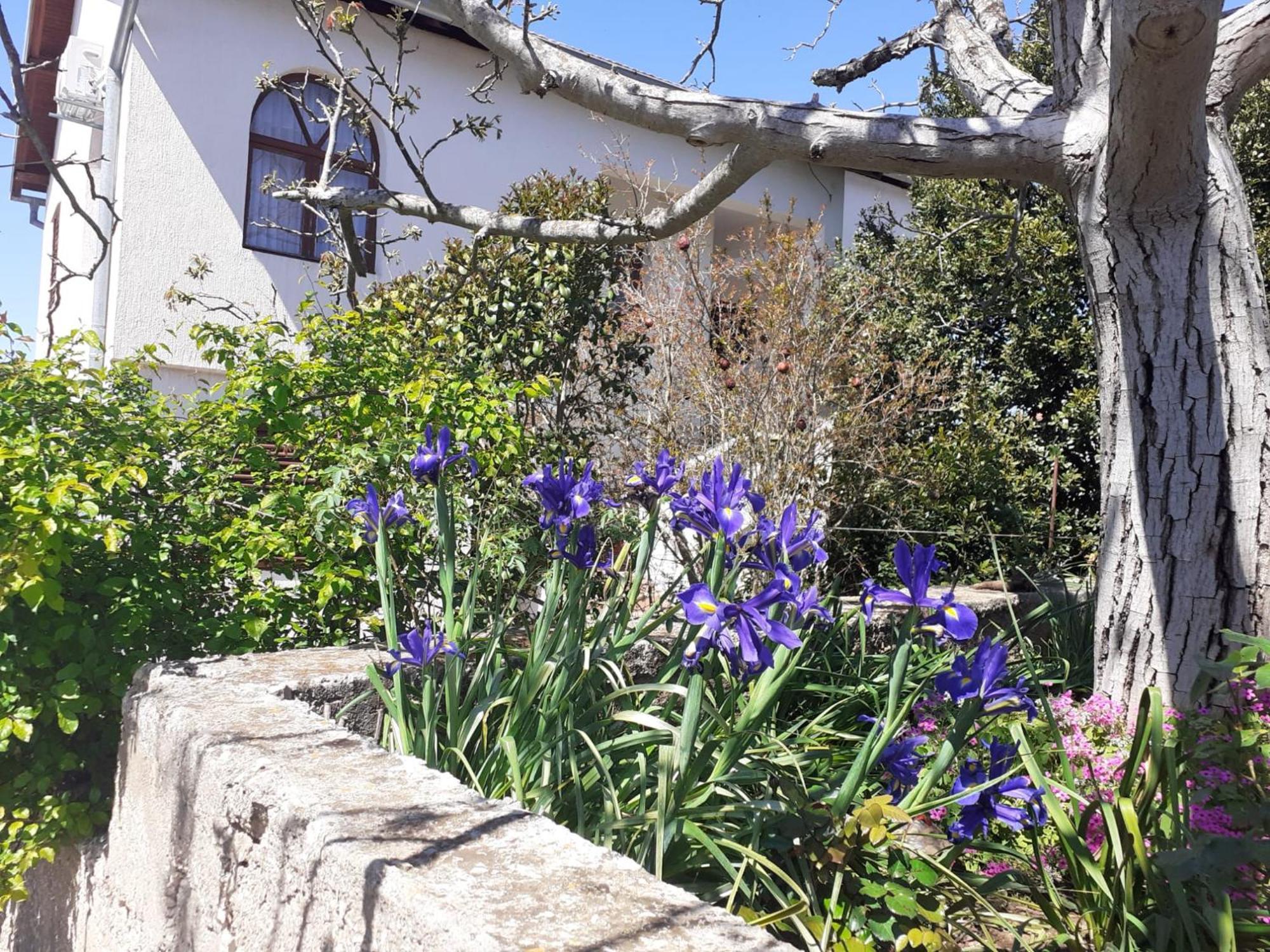 Apartman Sunce Raslina Dış mekan fotoğraf