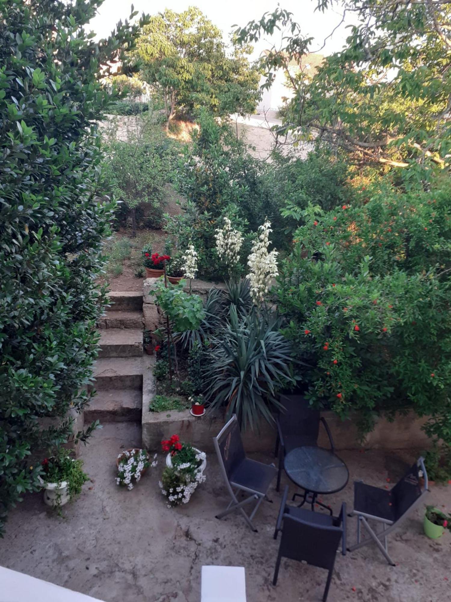 Apartman Sunce Raslina Dış mekan fotoğraf